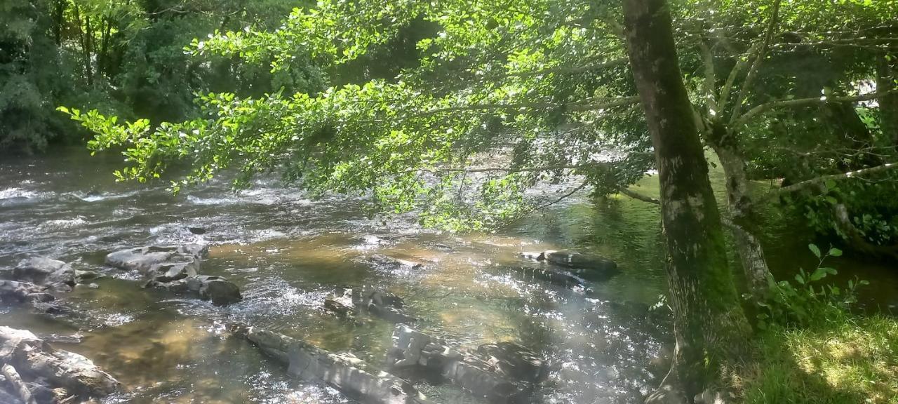 Les Berges Du Cele Hotel Bagnac Buitenkant foto